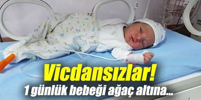 Vicdansızlar! 1 günlük bebeği ağaç altına...