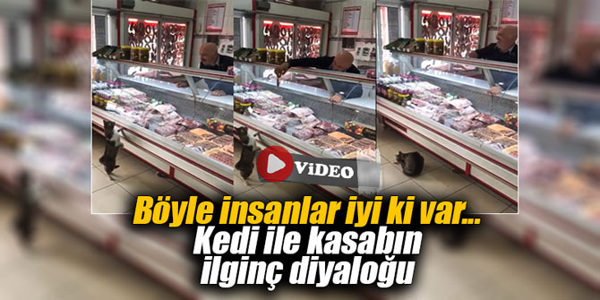 Böyle insanlar iyi ki var... Kedi ile kasabın ilginç diyaloğu