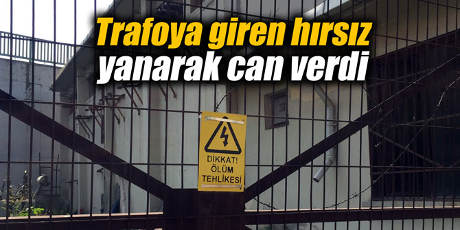 Trafoya giren hırsız yanarak can verdi