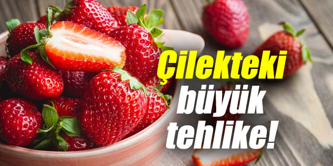 Çilekteki büyük tehlike!