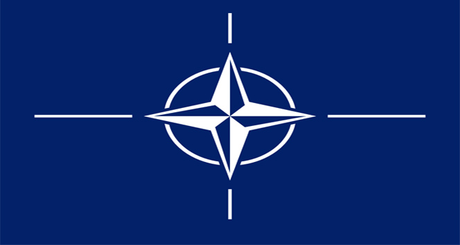 "Suriye operasyonunu destekliyorum"