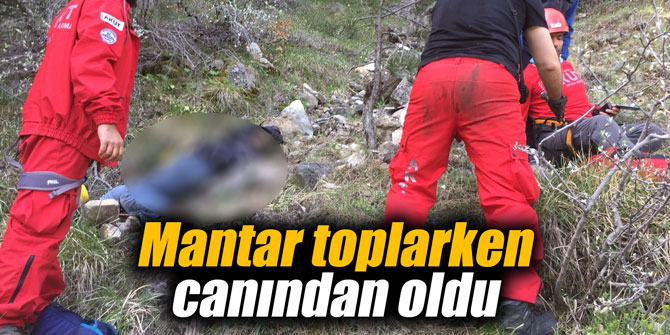 Mantar toplarken canından oldu