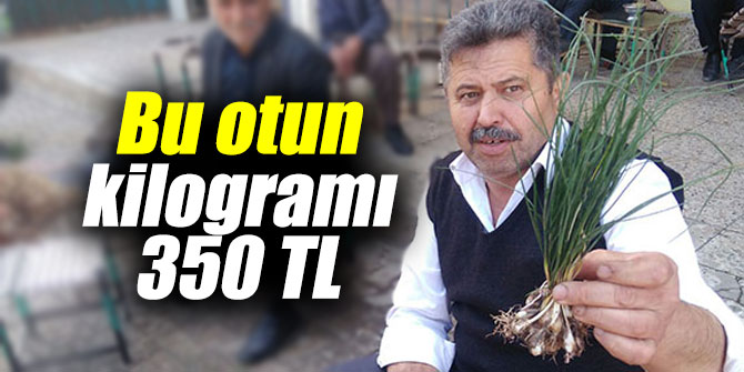 Dağ eteklerinde yetişen bu otun kilogramı 350 TL