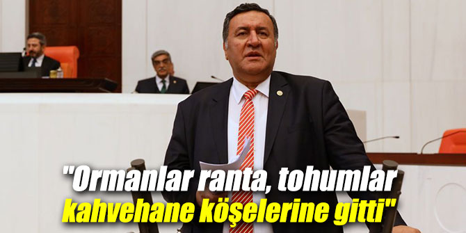 "Ormanlar ranta, tohumlar kahvehane köşelerine gitti"