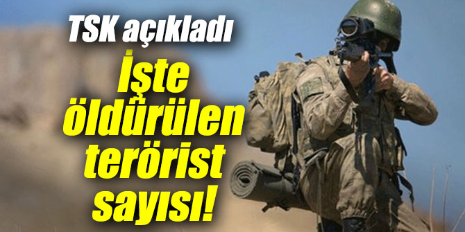 İşte etkisiz hale getirilen terörist sayısı!