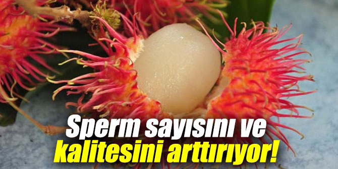 Sperm sayısını ve kalitesini arttırıyor!