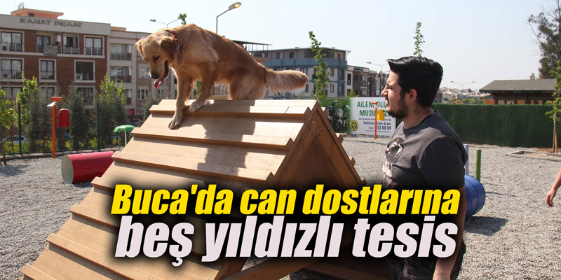 Buca'da can dostlarına beş yıldızlı tesis