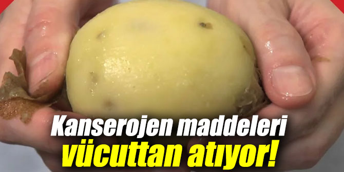 Kanserojen maddeleri vücuttan atıyor!
