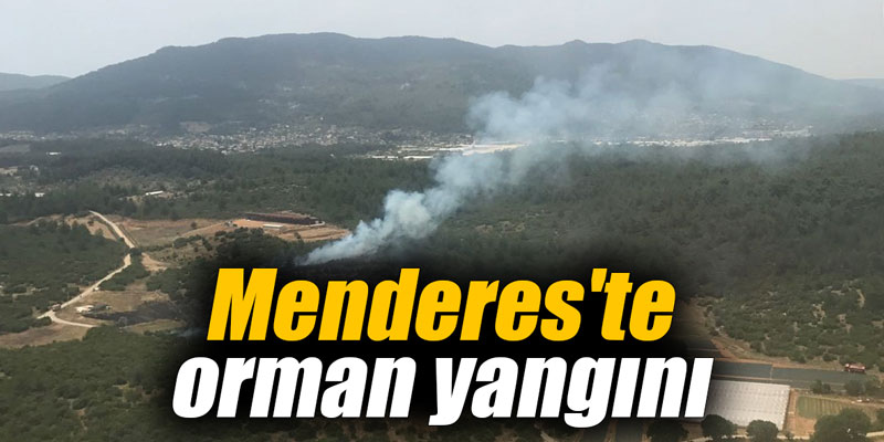 Menderes'te orman yangını