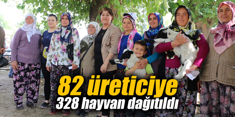 82 üreticiye 328 hayvan dağıtıldı