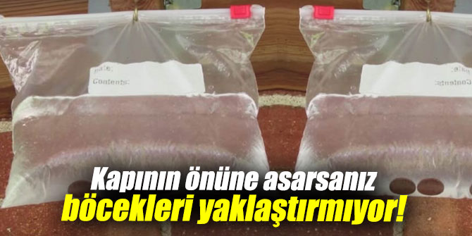 Kapının önüne asarsanız böcekleri yaklaştırmıyor!