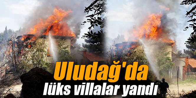 Uludağ'da lüks villalar yandı