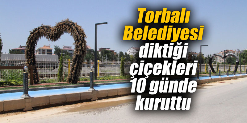 Torbalı Belediyesi diktiği çiçekleri 10 günde kuruttu