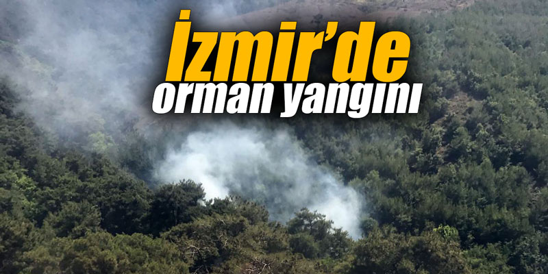İzmir’de orman yangını