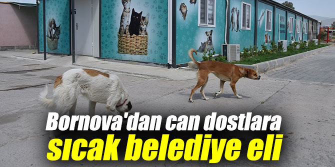 Bornova'dan can dostlara sıcak belediye eli