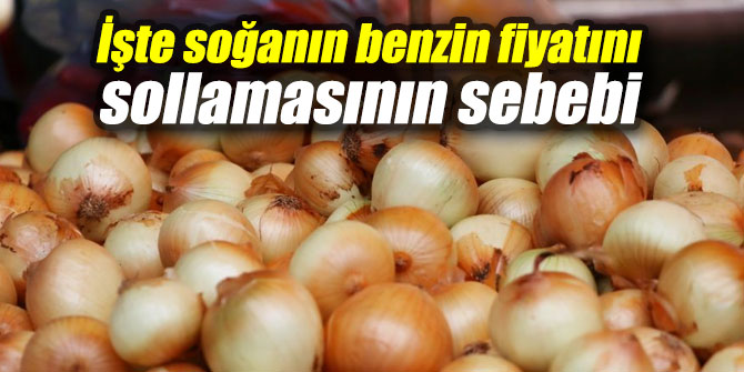 İşte soğanın benzin fiyatını sollamasının nedeni