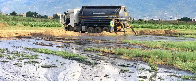 Tire'de doğa katliamı