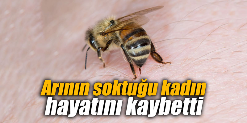 Arının soktuğu kadın hayatını kaybetti