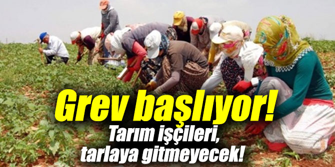 Grev başlıyor! Tarım işçileri, tarlaya gitmeyecek