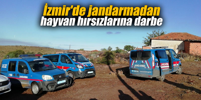 İzmir'de jandarmadan hayvan hırsızlarına darbe