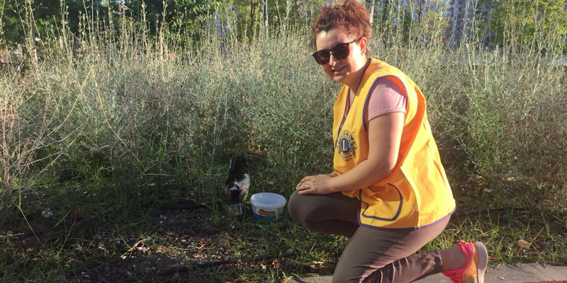 Sokak hayvanları için su kabı ve mama dağıttılar