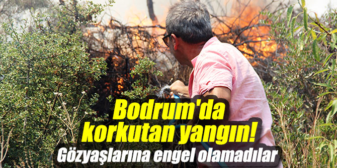 Bodrum'da korkutan yangın!