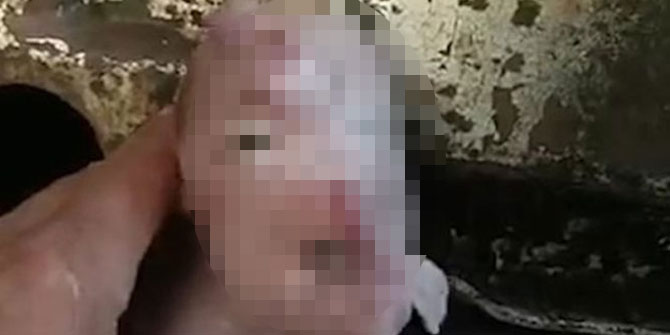 Yüzünü görenler inanamadı!  Yavru hayvan sosyal medyayı salladı
