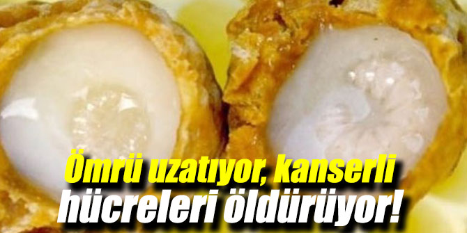 Ömrü uzatıyor, kanserli hücreleri öldürüyor!