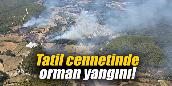 Tatil cennetinde orman yangını!