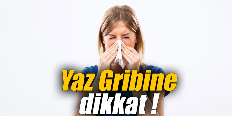 Yaz Gribine dikkat !
