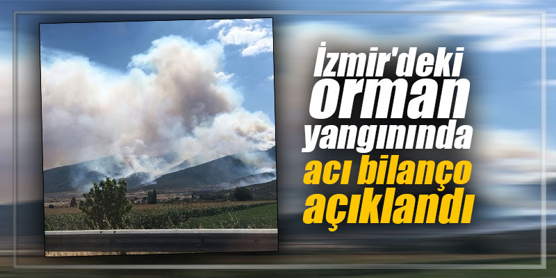 İzmir'deki orman yangınında acı bilanço açıklandı