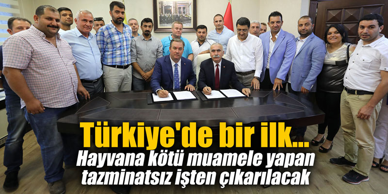 Türkiye'de bir ilk... Hayvana kötü muamele yapan tazminatsız işten çıkarılacak