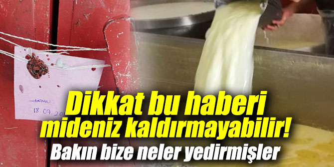 Dikkat bu haberi mideniz kaldırmayabilir! Bakın bize neler yedirmişler