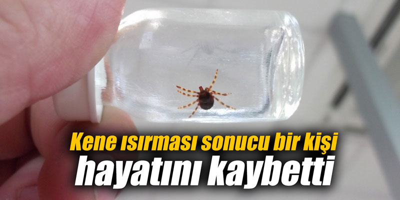 Kene ısırması sonucu bir kişi hayatını kaybetti