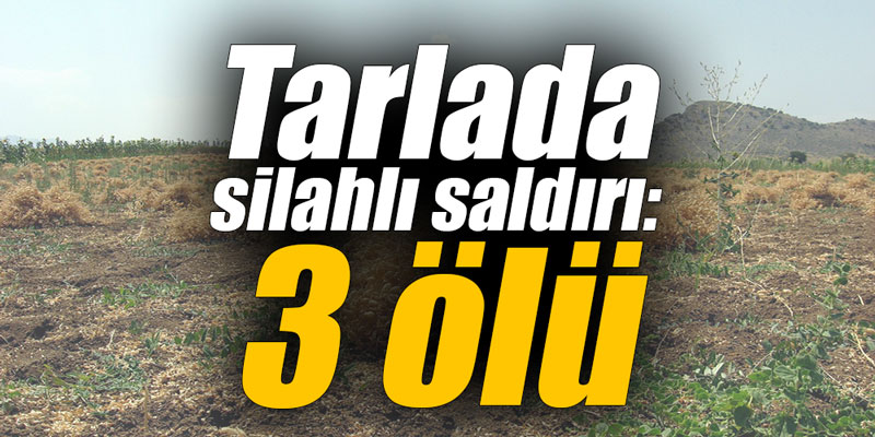 Tarlada silahlı saldırı: 3 ölü