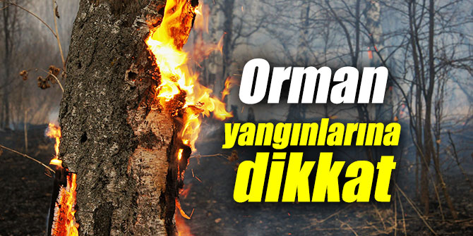 Orman yangınlarına dikkat