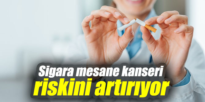 Sigara mesane kanseri riskini artırıyor