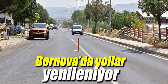 Bornova Belediyesi, yolları yeniliyor