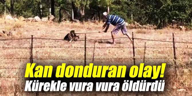 Kan donduran olay! Kürekle vura vura öldürdü