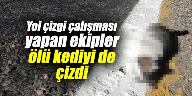 Yol çizgi çalışması yapan ekipler ölü kedinin üstünü de çizdi