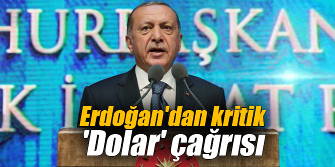Erdoğan'dan kritik 'Dolar' çağrısı