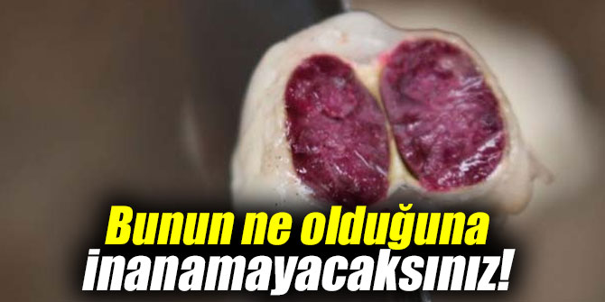 Bunun ne olduğuna inanamayacaksınız!