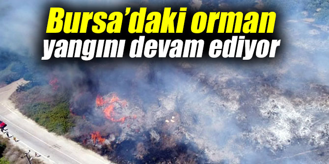 Bursa’daki orman yangını sürüyor