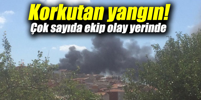 Korkutan yangın! Çok sayıda ekip olay yerinde