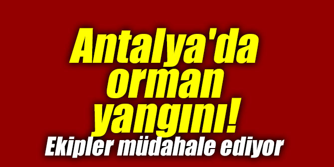 Antalya'da orman yangını!