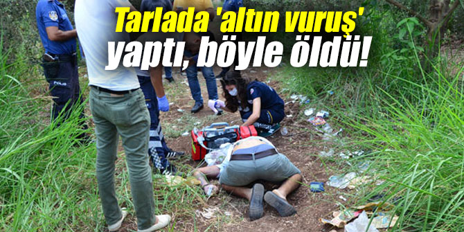 Tarlada 'altın vuruş' yaptı, böyle öldü...