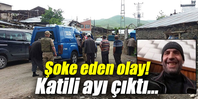 Şoke eden olay! Katili ayı çıktı...