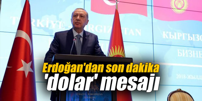 Erdoğan'dan son dakika 'dolar' mesajı