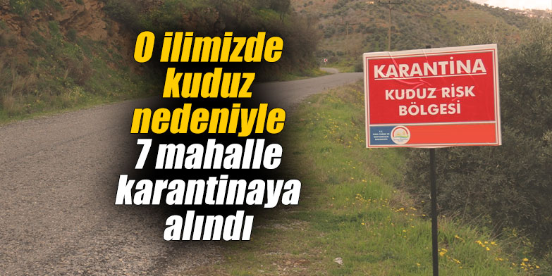 O ilimizde kuduz nedeniyle 7 mahalle karantinaya alındı