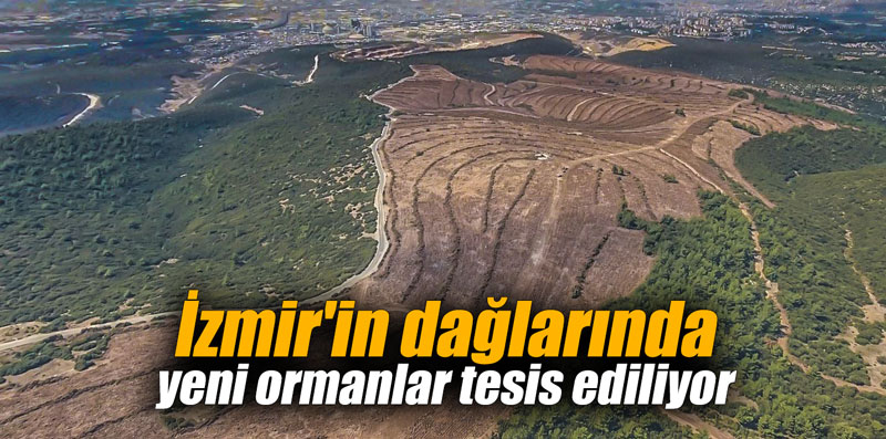 İzmir'in dağlarında yeni ormanlar tesis ediliyor